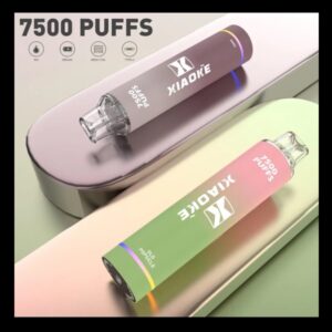 【XIAOKE  】 ★disposable★7500 puffs(rechargeable)/【梟客】7500口